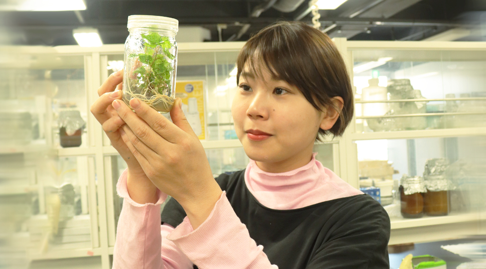 生命環境学部
