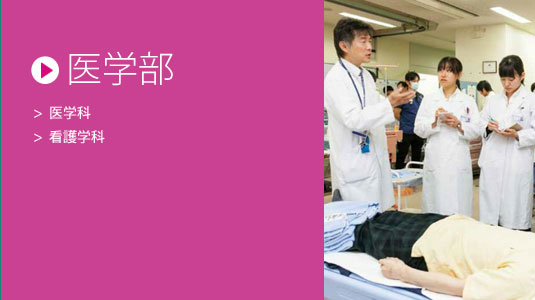 医学部