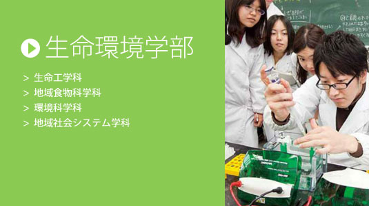 生命環境学部