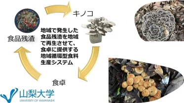 食品ロスをなくそう！食品残渣を活用したキノコ栽培へのチャレンジ！