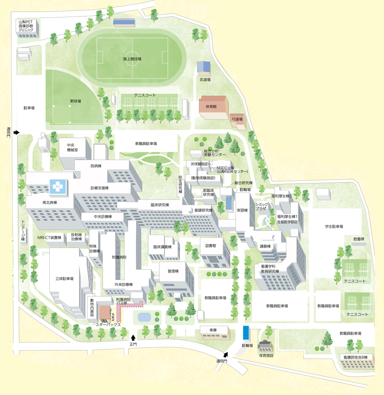 医学部キャンパスマップ